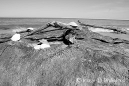 photographie d'art rocher en monochrome