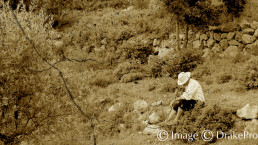 Scène photographie sepia cezanne
